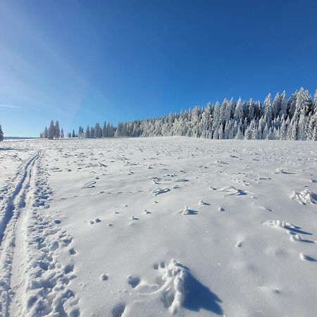 Apartman Spa Sumava Zdíkov Екстериор снимка